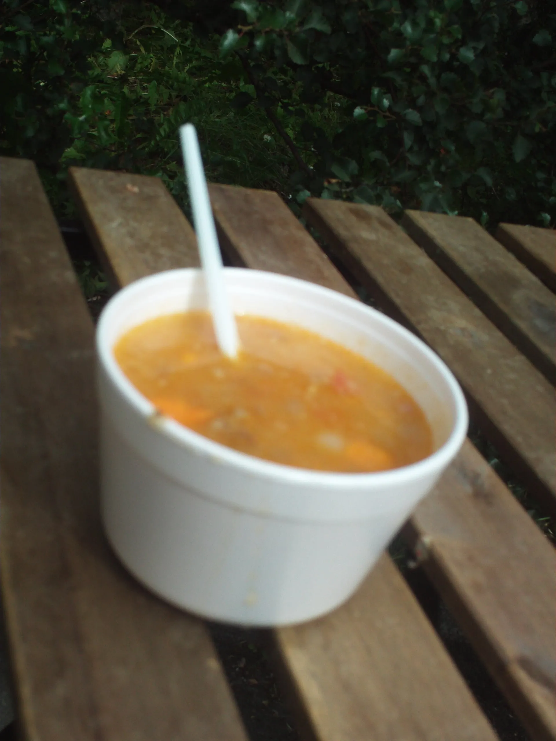 A bowl of kjötsúpa — traditional Icelandic lamb-and-vegetable soup